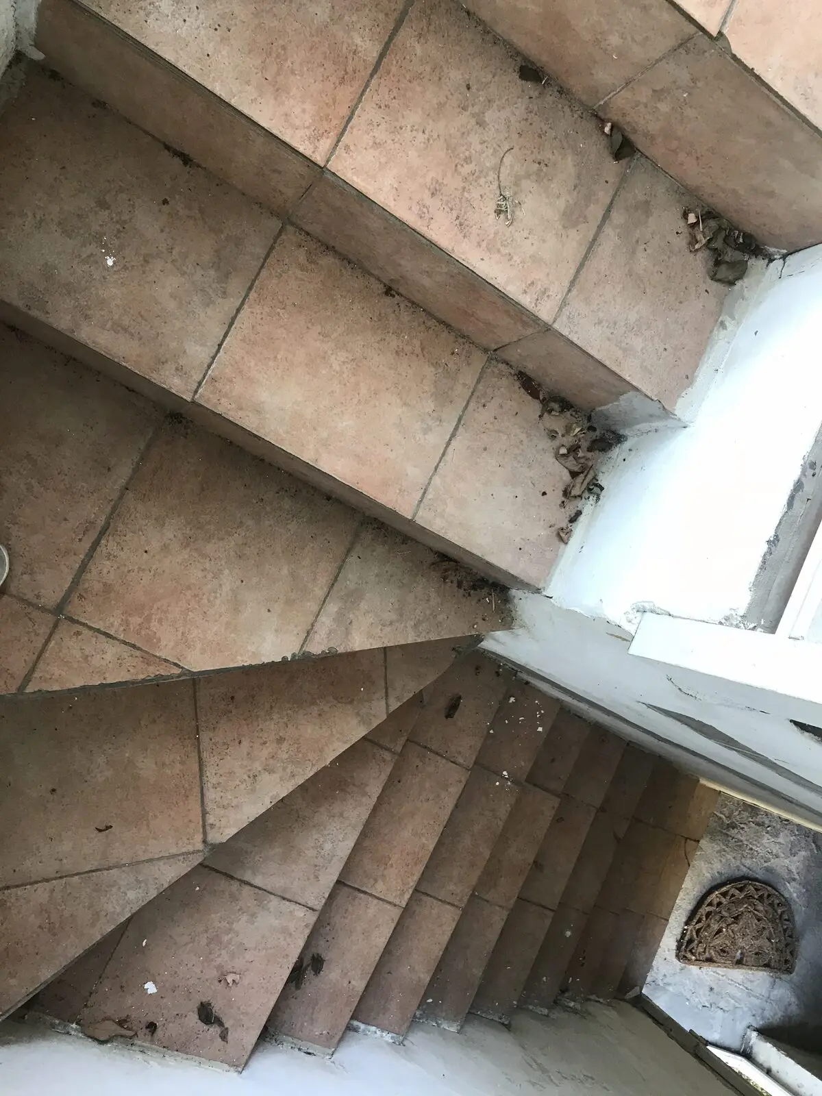 Escalier d’origine dégradé : nez de marche cassés et joints ouverts